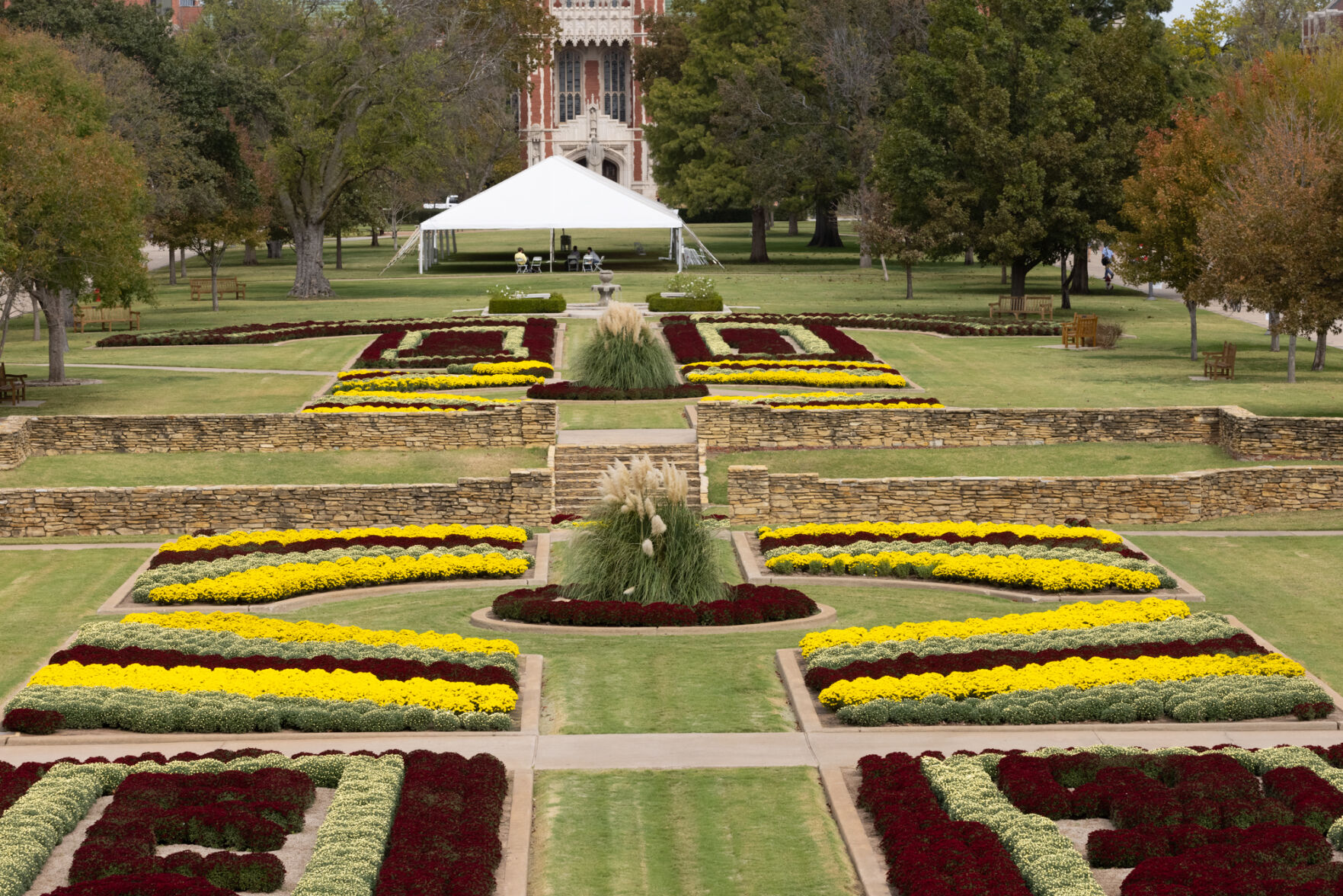 South Oval Mums